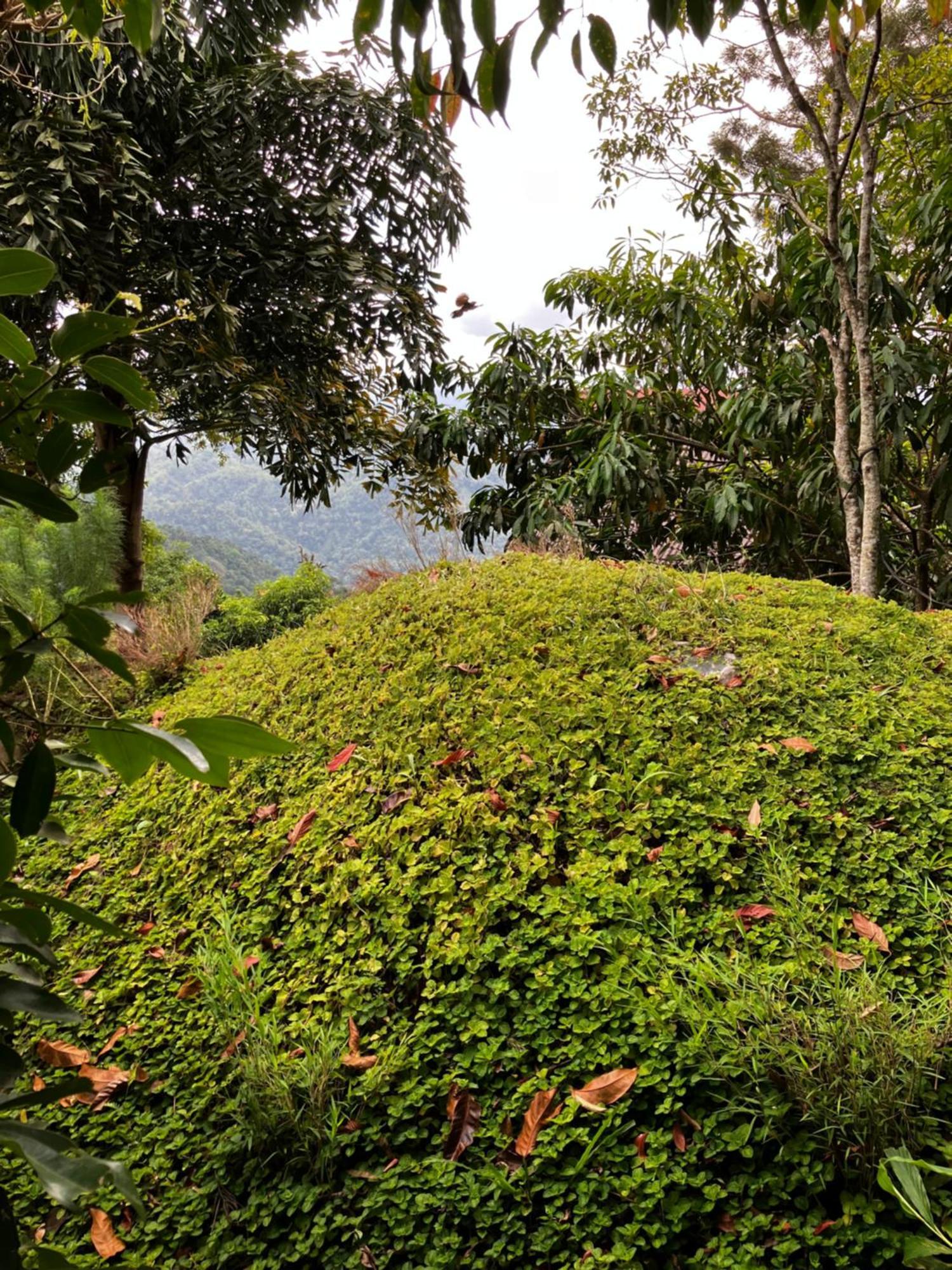 The Cloud Resort Kadugannawa Luaran gambar